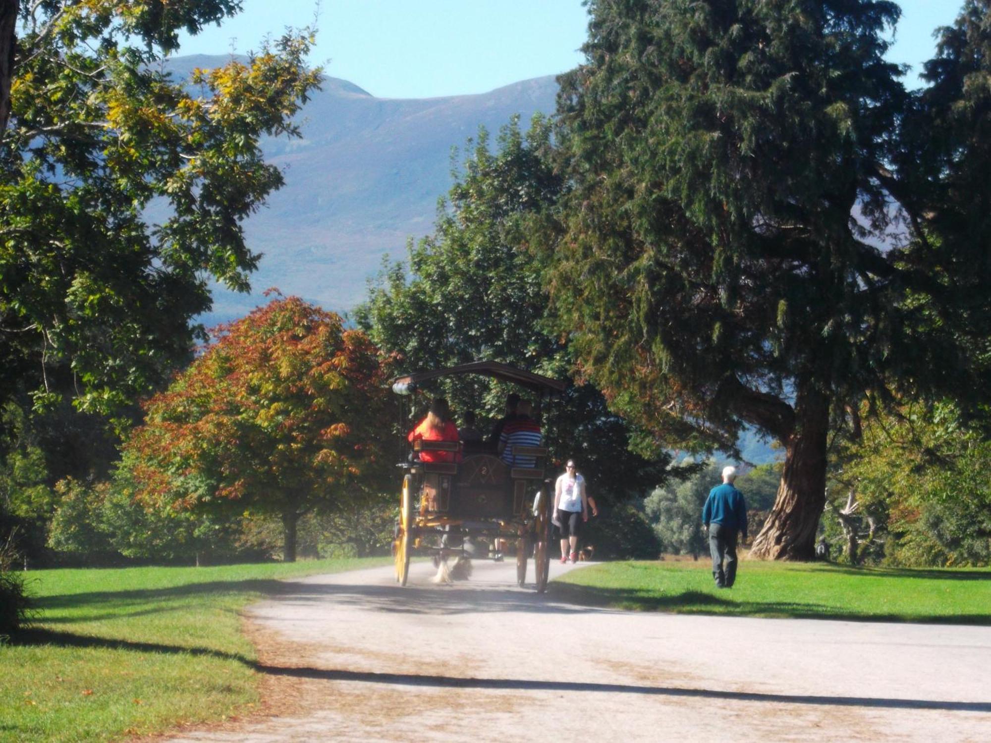 Kerry Holiday Homes At The Killarney Holiday Village Eksteriør bilde