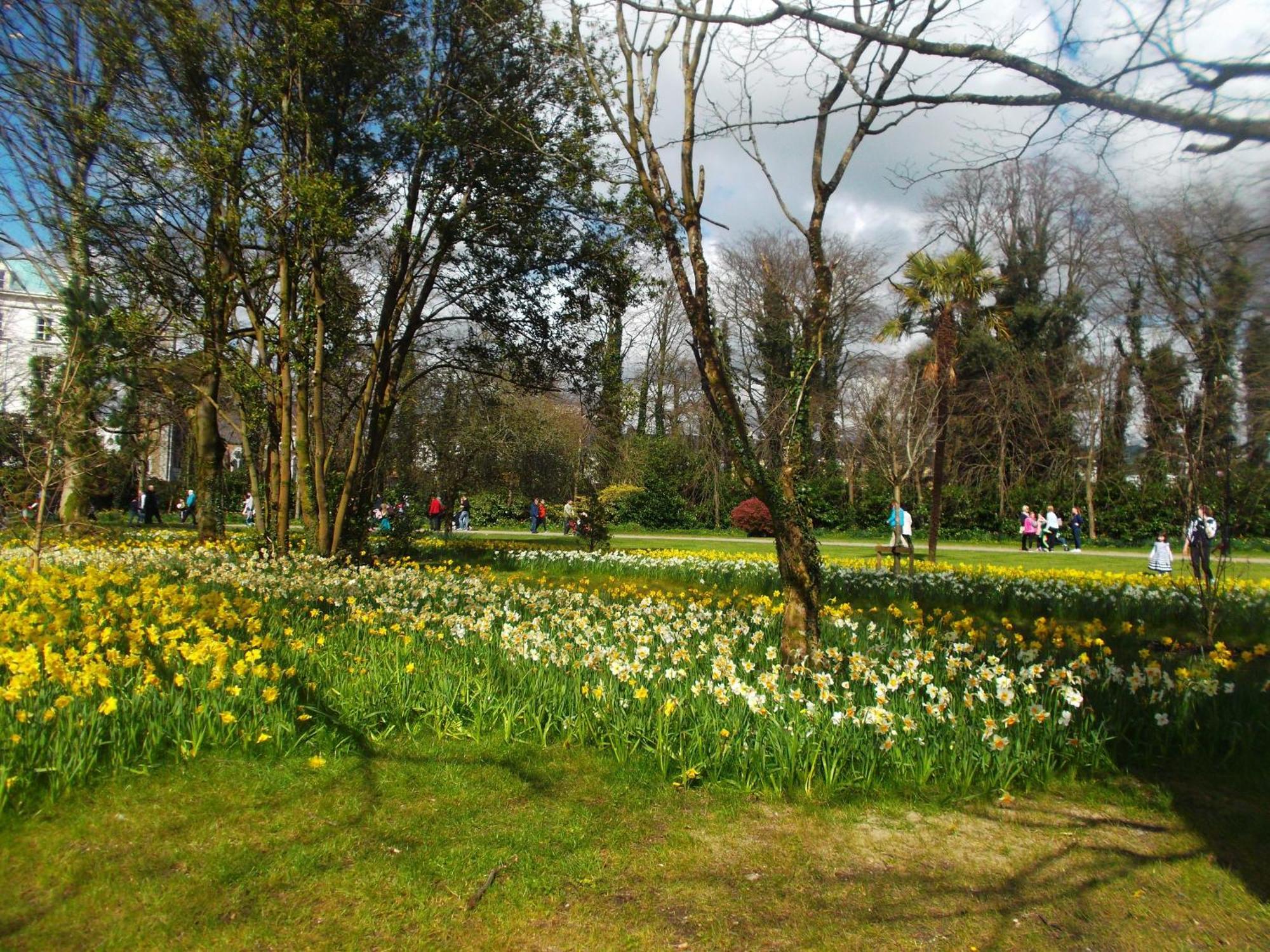 Kerry Holiday Homes At The Killarney Holiday Village Eksteriør bilde